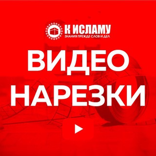 Логотип Телеграм канала . Бесплатная аналитика Telegram каналов