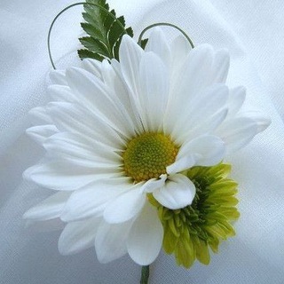 Логотип Телеграм канала :⸙꙰رُهᬂ𝕻𝖔𝖊𝖒𝖆𝖘 𝖊 🇨𝖆𝖓𝖈̧𝖔̃𝖊𝖘ا⸙꙰꙰꙰⃟꙰🎀ꦿ꙰⃘꙰꙰🌼⸙ꦿ꙰⃘꙰꙰💌⸙꙰꙰꙰⃟꙰🎷. Бесплатная аналитика Telegram каналов