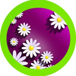 Логотип Телеграм канала . Бесплатная аналитика Telegram каналов