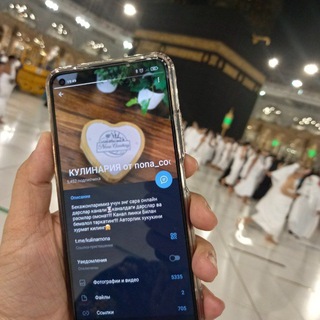 Логотип Телеграм канала . Бесплатная аналитика Telegram каналов