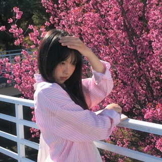 Логотип Телеграм канала . Бесплатная аналитика Telegram каналов