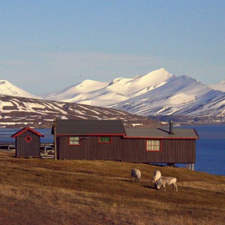 Логотип Телеграм канала . Бесплатная аналитика Telegram каналов