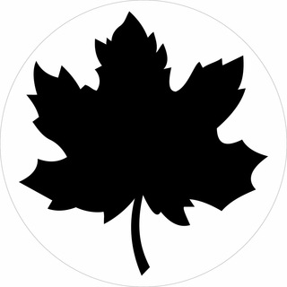 Telegram Channel logo canadapa. Free Telegram Channel Analytics