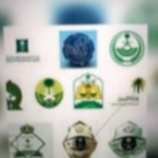 Логотип Телеграм канала t3giiiiib. Бесплатная аналитика Telegram каналов