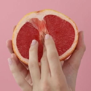 Telegram Channel logo . Free Telegram Channel Analytics