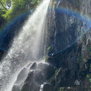 Telegram Channel logo +O0mFQgII8ucxNDgy. Free Telegram Channel Analytics