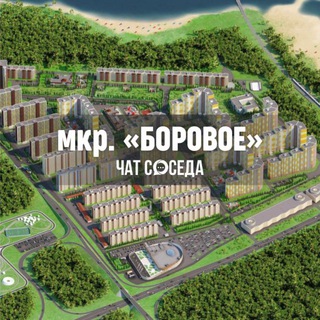 Логотип Телеграм канала borovoe_mkr. Бесплатная аналитика Telegram каналов