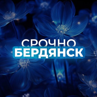 Telegram Channel logo berdyansk_srochno. Free Telegram Channel Analytics