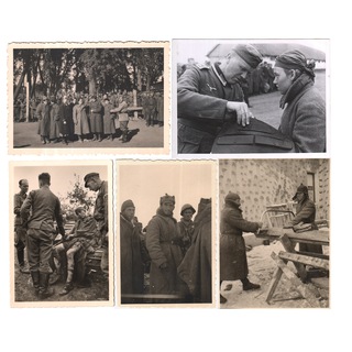 Telegram Channel logo +blNHBpWCrWE1YTUy. Free Telegram Channel Analytics