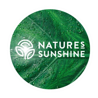 Логотип Телеграм канала . Бесплатная аналитика Telegram каналов