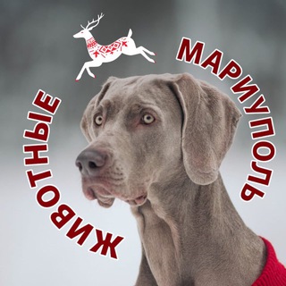 Логотип Телеграм канала mariupolzhivotnye. Бесплатная аналитика Telegram каналов