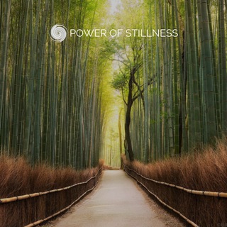 Telegram Channel logo Power of Stillness 🌿. Free Telegram Channel Analytics