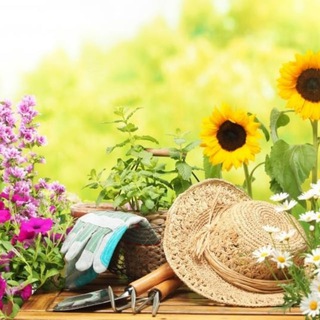 Логотип Телеграм канала +WUt9-GCYsaXnGYjU. Бесплатная аналитика Telegram каналов