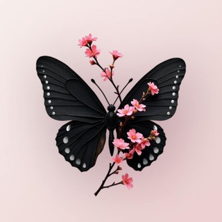 Telegram Channel logo +5EiH4GCew-NiNDhi. Free Telegram Channel Analytics