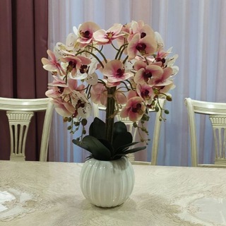 Логотип Телеграм канала . Бесплатная аналитика Telegram каналов