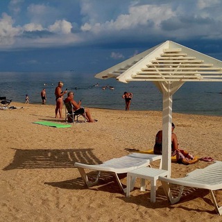 Логотип Телеграм канала . Бесплатная аналитика Telegram каналов