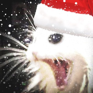 Telegram Channel logo nanilkin. Free Telegram Channel Analytics