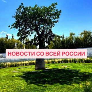 Логотип Телеграм канала . Бесплатная аналитика Telegram каналов