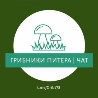 Telegram Channel logo Grib178. Free Telegram Channel Analytics