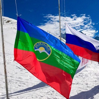 Логотип Телеграм канала . Бесплатная аналитика Telegram каналов