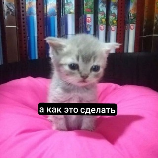 Telegram Channel logo learnkiti. Free Telegram Channel Analytics