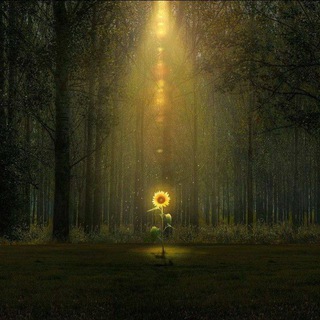 Логотип Телеграм канала UPSCEXAMTIPS. Бесплатная аналитика Telegram каналов