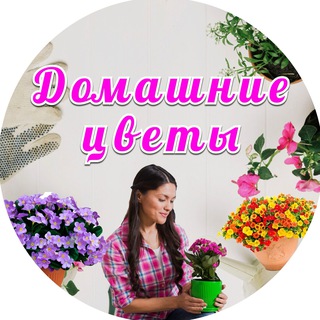 Telegram Channel logo +heRx-4aFFIQxNzJi. Free Telegram Channel Analytics