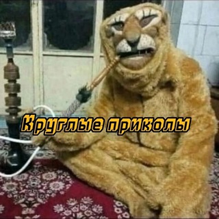 Telegram Channel logo kruglishi1221. Free Telegram Channel Analytics