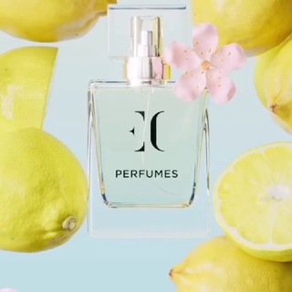 Логотип Телеграм канала . Бесплатная аналитика Telegram каналов