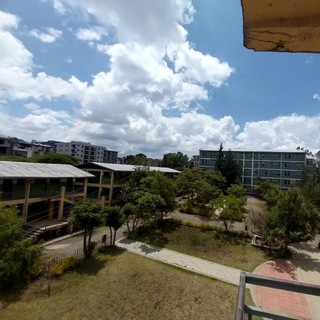 Логотип Телеграм канала F2W1S. Бесплатная аналитика Telegram каналов