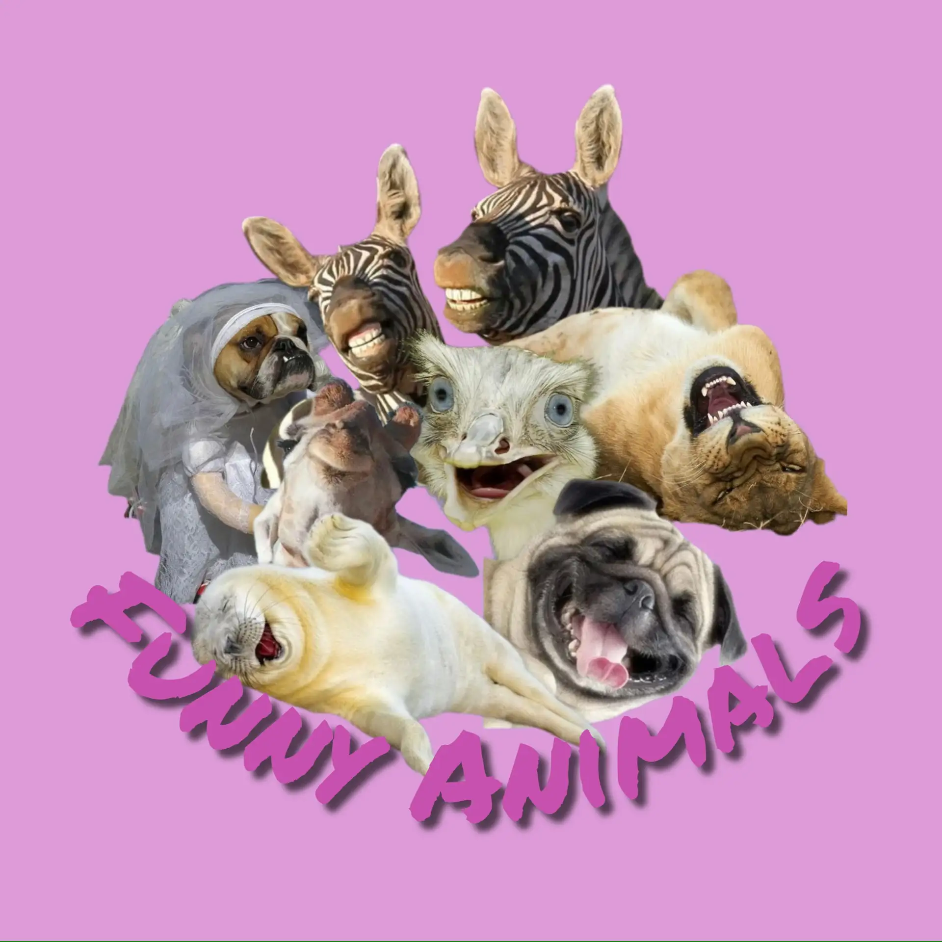 Логотип Телеграм канала funny_animalsru. Бесплатная аналитика Telegram каналов