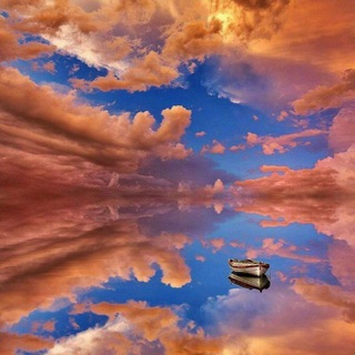 Telegram Channel logo The Globe Is DEAD!!!!🐻. Free Telegram Channel Analytics