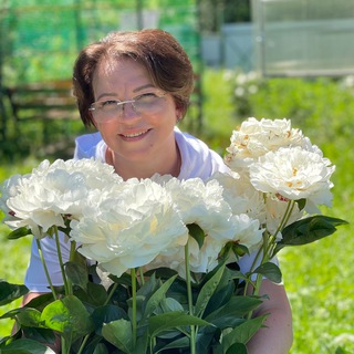 Telegram Channel logo pionray. Free Telegram Channel Analytics