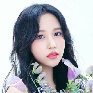 Telegram Channel logo bultrneee. Free Telegram Channel Analytics