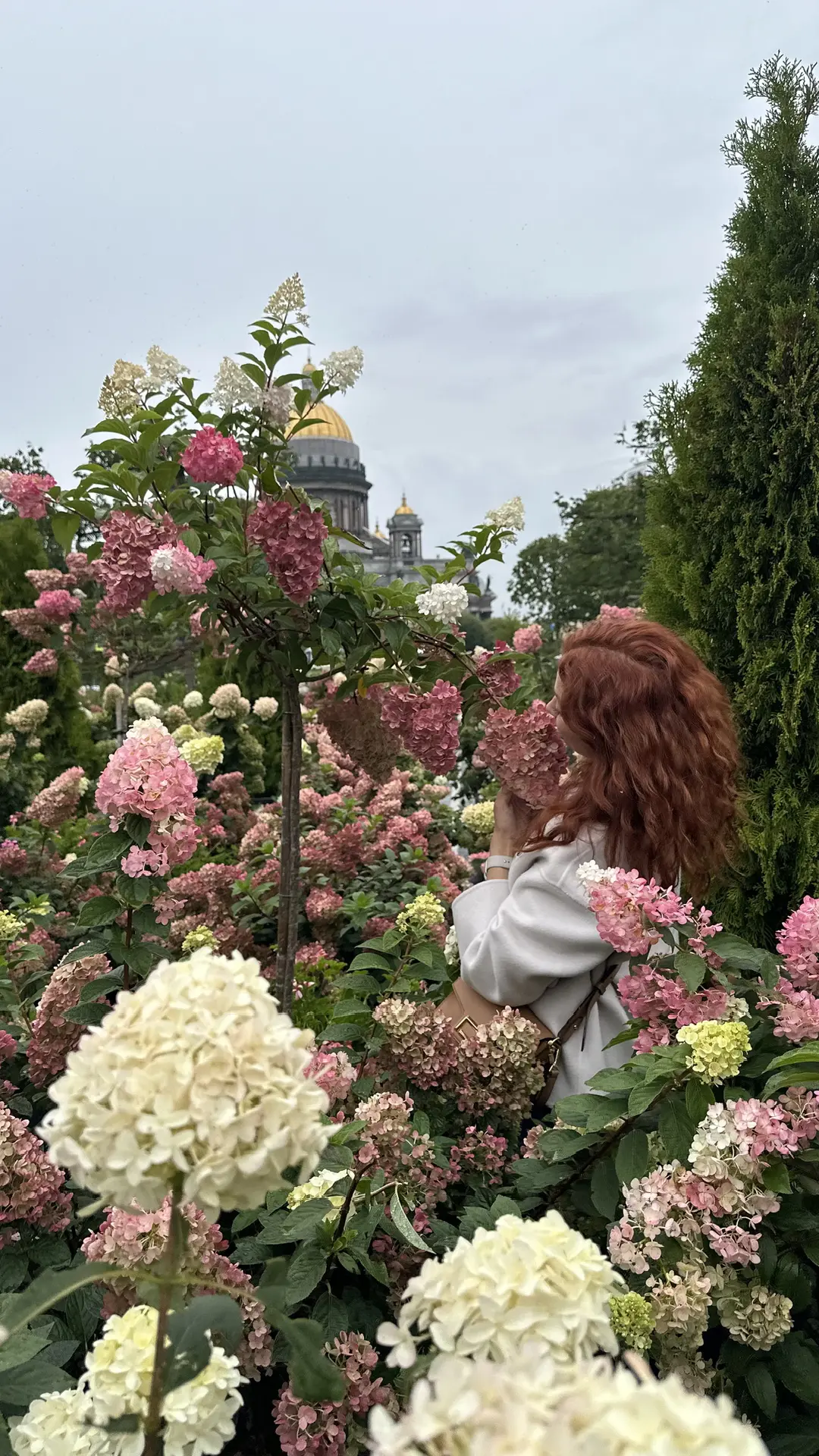 Логотип Телеграм канала soniageld. Бесплатная аналитика Telegram каналов