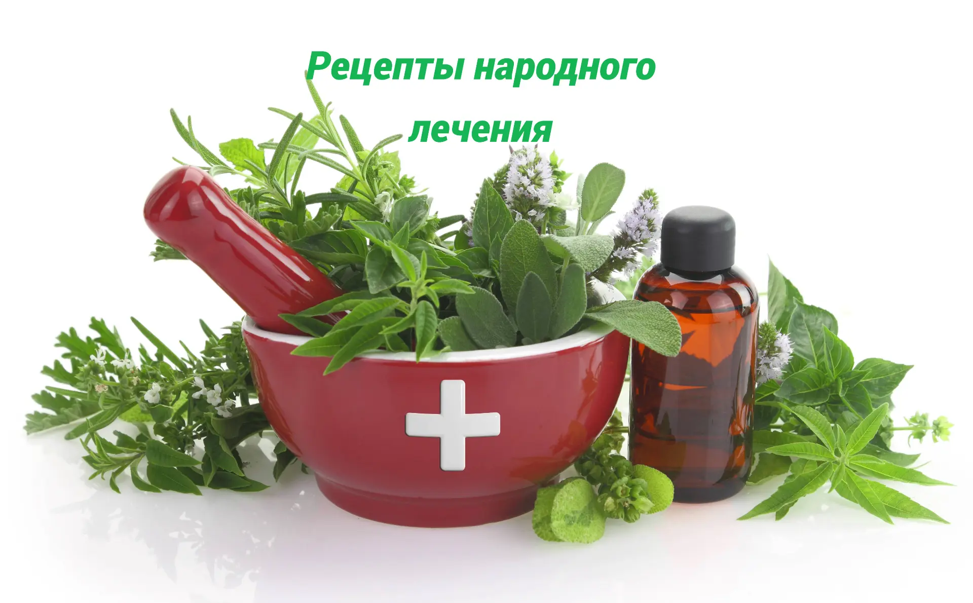 Telegram Channel logo club219384345. Free Telegram Channel Analytics