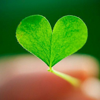 Логотип Телеграм канала Здравница. Бесплатная аналитика Telegram каналов