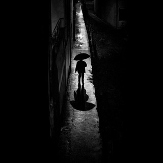 Telegram Channel logo Nightwalkers. Free Telegram Channel Analytics