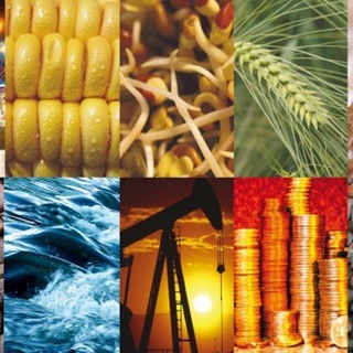 Telegram Channel logo exchangecommodity. Free Telegram Channel Analytics