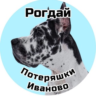 Telegram Channel logo rogdaj. Free Telegram Channel Analytics
