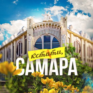 Telegram Channel logo kcmnuwoch783yjzi. Free Telegram Channel Analytics