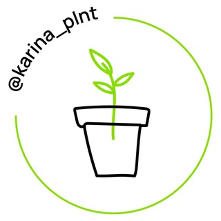 Логотип Телеграм канала karina_plnt. Бесплатная аналитика Telegram каналов