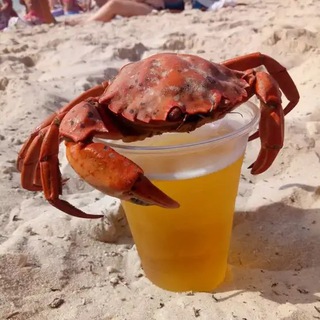 Логотип Телеграм канала . Бесплатная аналитика Telegram каналов