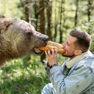 Логотип Телеграм канала necriminalniy_long. Бесплатная аналитика Telegram каналов