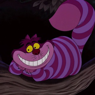 Telegram Channel logo intellectymor24. Free Telegram Channel Analytics