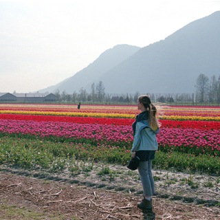 Логотип Телеграм канала MissionBCpossible. Бесплатная аналитика Telegram каналов