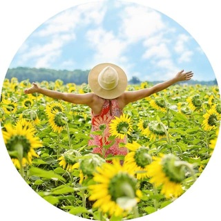 Telegram Channel logo Danke - Die Dankbaren ❤️🍀. Free Telegram Channel Analytics