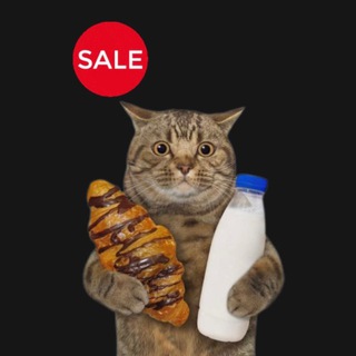 Telegram Channel logo discount_masters. Free Telegram Channel Analytics