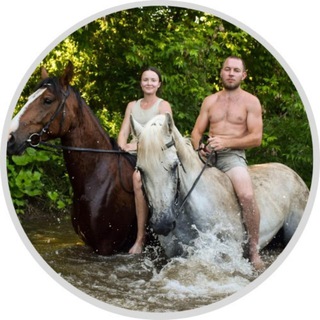 Telegram Channel logo vderevnes. Free Telegram Channel Analytics