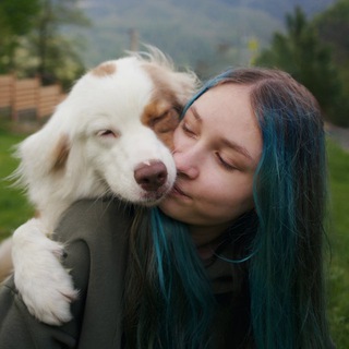 Telegram Channel logo Darcy_kit. Free Telegram Channel Analytics